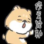 柴柴崩壞了 pack 1