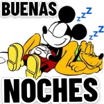 RESPONDE!