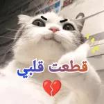 قطعت قلبي 💔