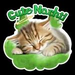 Guten Abend