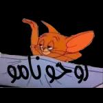 تصبحون على خير🌙