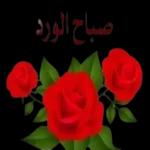 صباح الورد