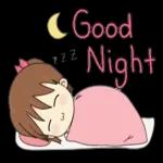 Good Night ZZZ