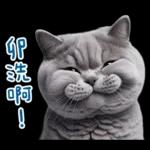 起肖貓貓★台語卡唬爛!