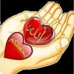 yakup1970ciftci@gmail.com