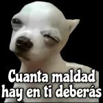 QUÉ RICOO! 4 SE VE ESO