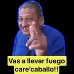 te de mate