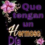 BONITO DIA