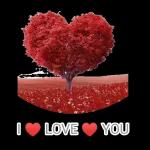 je t'aime trois mille fois