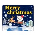 Natural cat, moving winter&Xmas