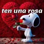 ¡Feliz Dia de San Valentin!