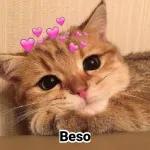 Beso