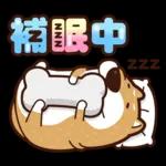 我是你的柴 2