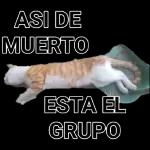 chinga tu madre