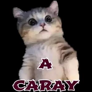 A CARAY - getsticker.com