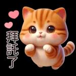 呆萌小橘猫
