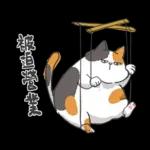 肥貓躺躺(上班鳥事)