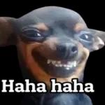 Ã³mo así? 🤨 🧐