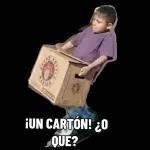 boi corriendo