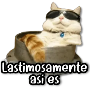 muredd9