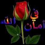 انت مش ساالك يسطاا