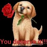 BE HAPPY LJB BE HEALTHY