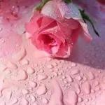 TextSticker 2024 I LOVE YOU