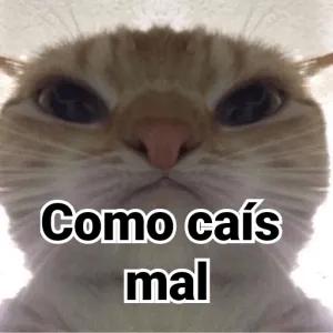 Como cais mal - getsticker.com