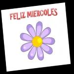feliz miercoles