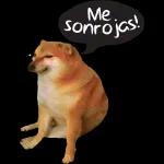 aqui bien pendientes