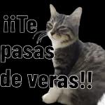 pelea en el grupo xD