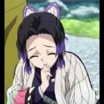Shinobu 