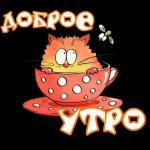 утро доброе