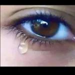 (eve فديتك انا