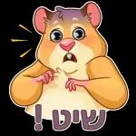 כל שבוע טוב