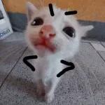 guenos días mai lov