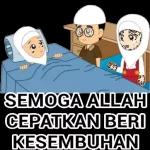 Pack 9