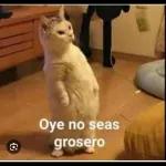 Mi ropa es ancha para que quepa mi ego y yo