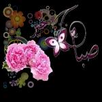 أصبحنا وأصبح الملك لله