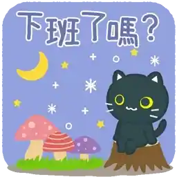 甜美少女風，三隻小貓