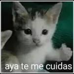 Venite Pues👀