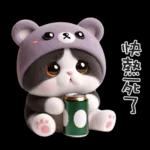ฅ^•ﻌ•^ฅ╭♡軟綿綿熊熊貓雙手贊成