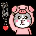 Good day How are you🥰❤️