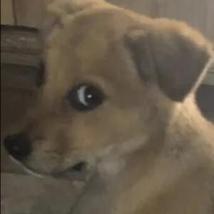 jneRkN