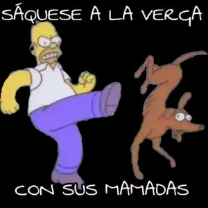 9VqlRa