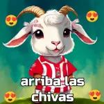CHIVAS DEL