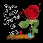 Good Night.
Lord please
watch over
my family
and friends
Tweet Dreams