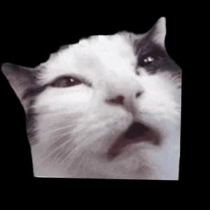 ImjdaC