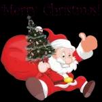 wish you Merry Christmas