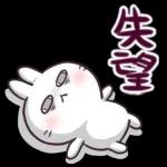 萌宠sticker  01304🥰